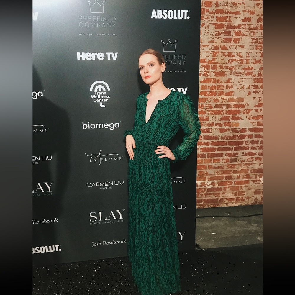 Worn twice Misa Los Angeles Tiered Hadeya Maxi Dress